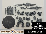 Figures> Custodian Guard X2 Random SAVE 7%  SfACCGR01 1*2